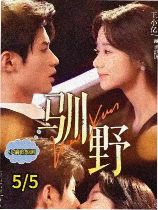 沉默的证词 日剧推理剧照